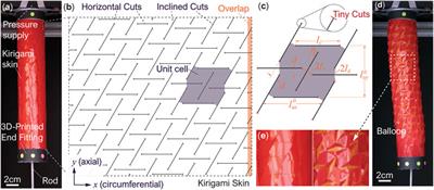 Frontiers | Pneumatic Soft Actuators With Kirigami Skins